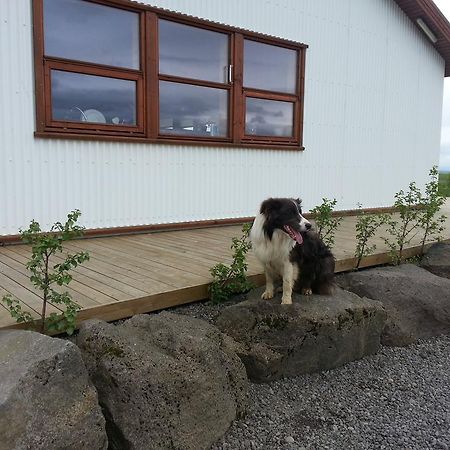 Skalinn Between Gullfoss And Geysir - Myrkholt Farm Haukadalur ภายนอก รูปภาพ
