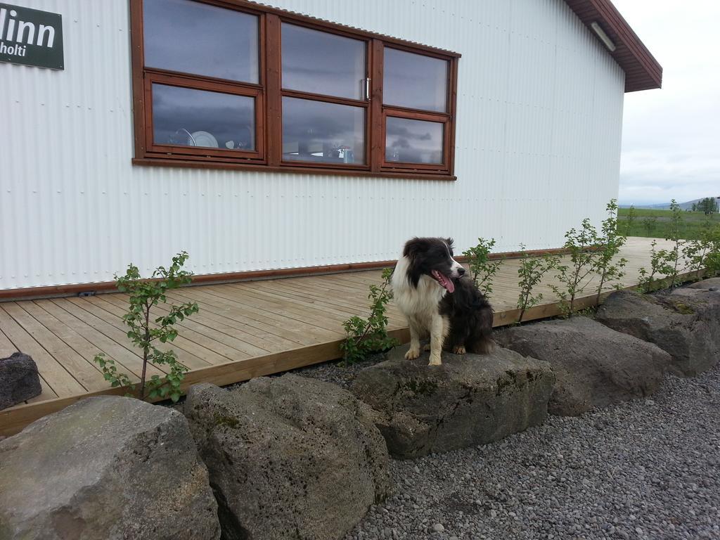 Skalinn Between Gullfoss And Geysir - Myrkholt Farm Haukadalur ภายนอก รูปภาพ