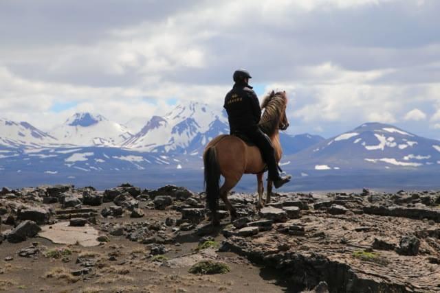 Skalinn Between Gullfoss And Geysir - Myrkholt Farm Haukadalur ภายนอก รูปภาพ
