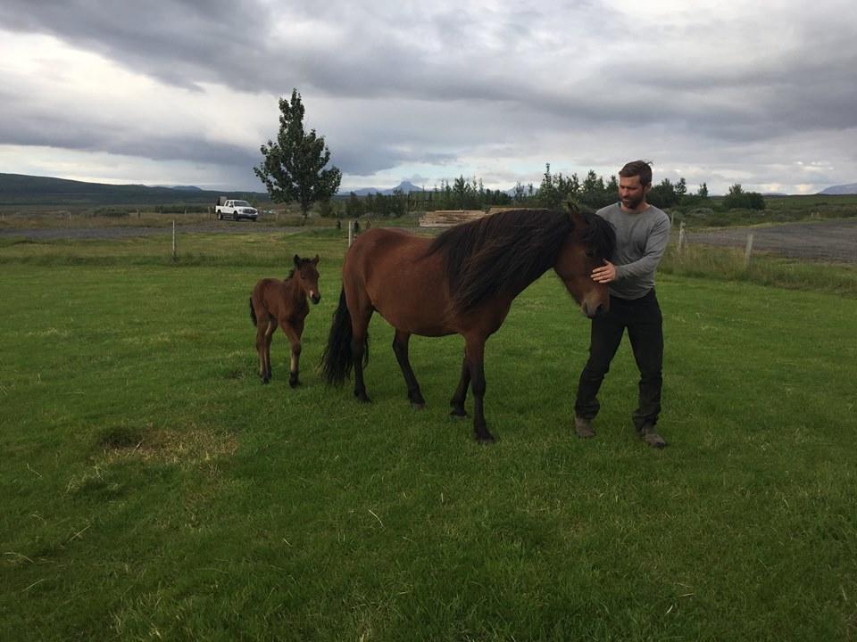 Skalinn Between Gullfoss And Geysir - Myrkholt Farm Haukadalur ภายนอก รูปภาพ