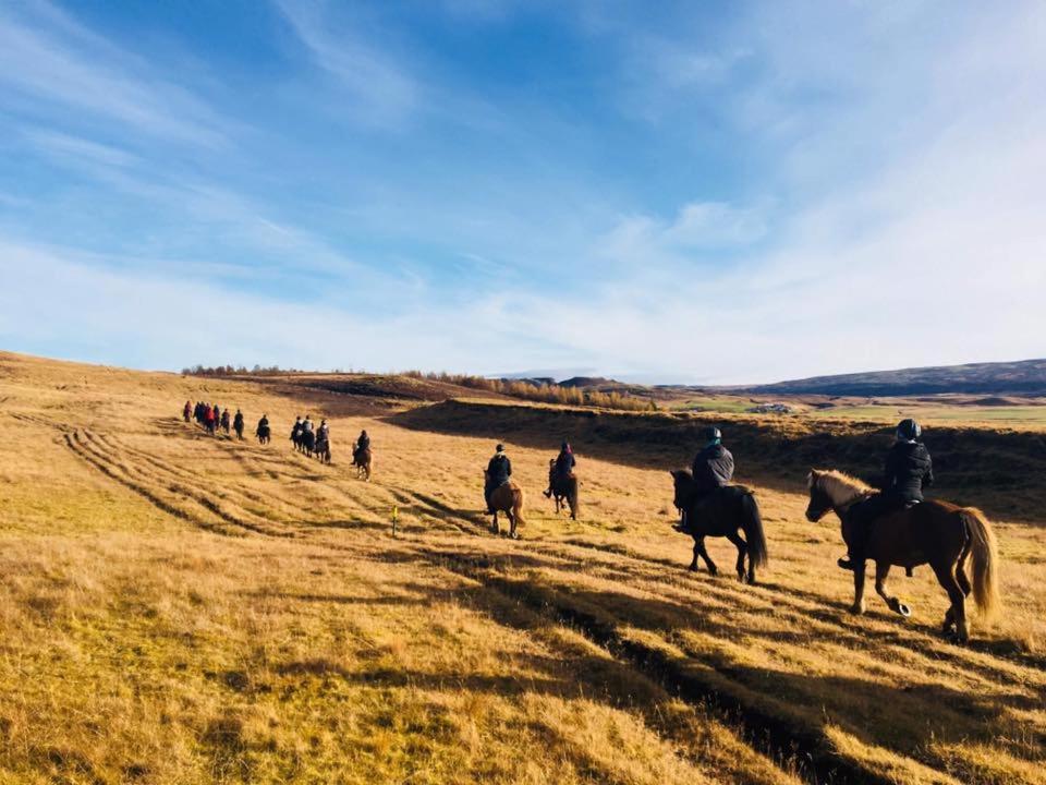 Skalinn Between Gullfoss And Geysir - Myrkholt Farm Haukadalur ภายนอก รูปภาพ
